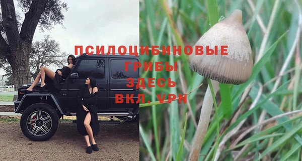 прущие крисы Кулебаки