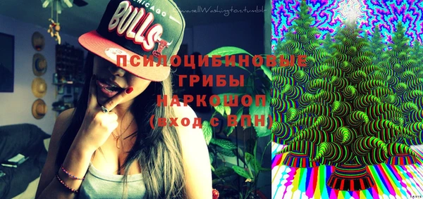прущие крисы Кулебаки