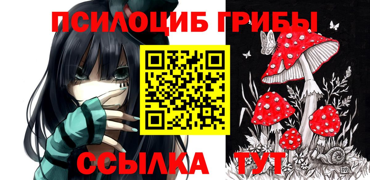 Курган  Псилоцибиновые грибы прущие грибы  Вход с VPN 